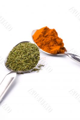 spoons with ground spices
