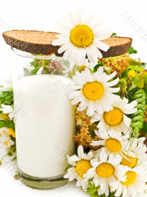 bread milk and camomile