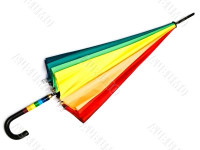 umbrella