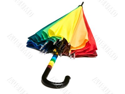 umbrella