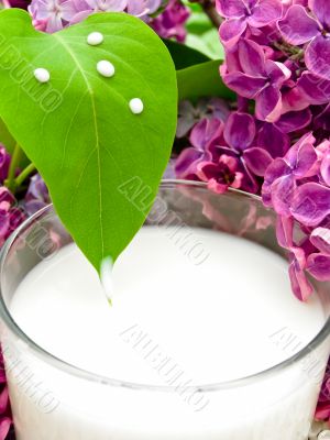 milk and lilac