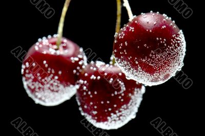 cherries in water close up
