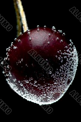 cherries in water macro