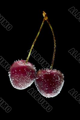 cherries in water on black