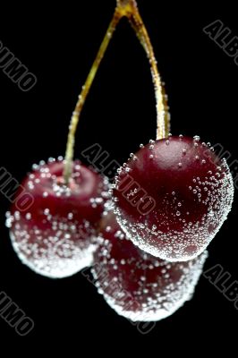 cherries in water