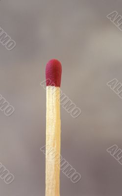 One wooden Match in gray background