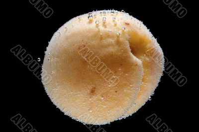 apricot in water