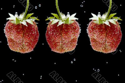strawberries in water