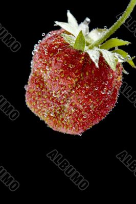 strawberry in water closeup