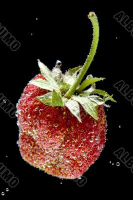 strawberry in water