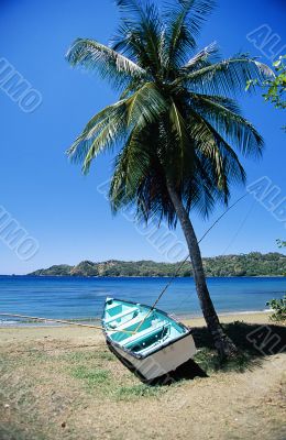 Boat and Palm Tree. Tobago