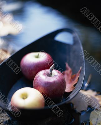 Wooden Bowl with Autumn Apples