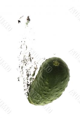 cucumber in water macro on white