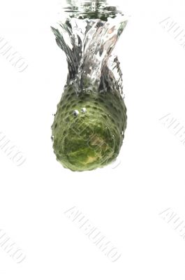cucumber in water macro