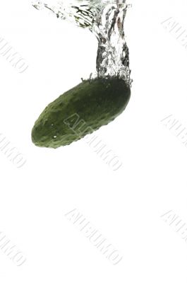 cucumber in water on white