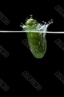 Cucumber in water on black macro