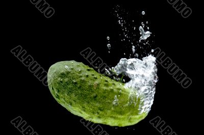 Cucumber in water on black