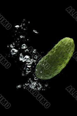 Cucumber in water
