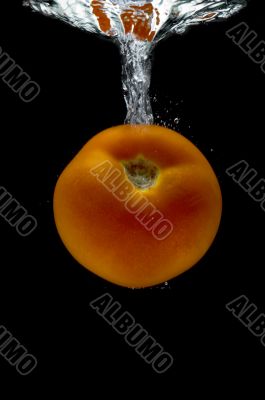 Tomato in water macro