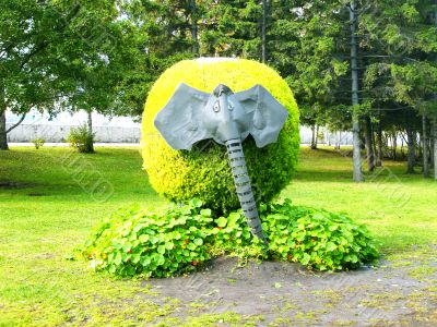 Flowerbed elephant