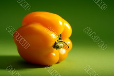 Yellow pepper on a green background