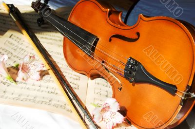 Violin on music sheet