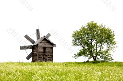 old windmills and a lonely tree
