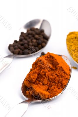 ground spices