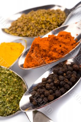 various ground spices