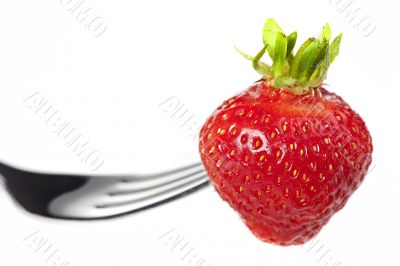 strawberry on a fork