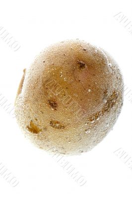 Potatoes in water