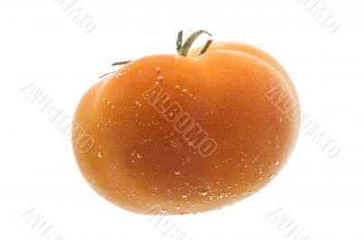 Tomato in water macro
