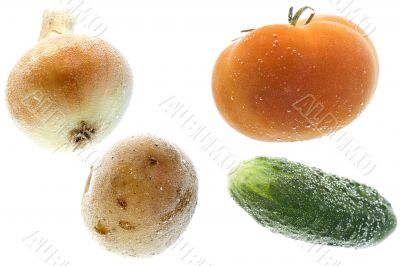 vegetables in water