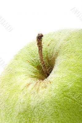 Apple in water close up