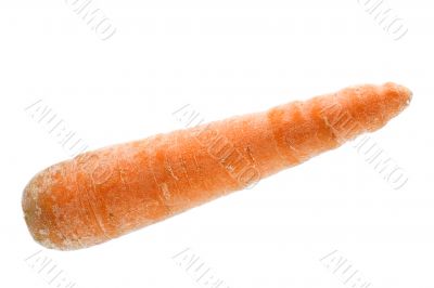 carrot in water