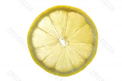 Lemon in water close up