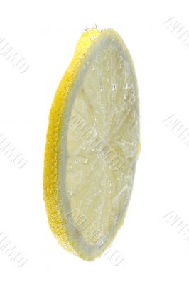 Lemon in water closeup