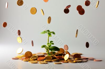 Tree with falling coins