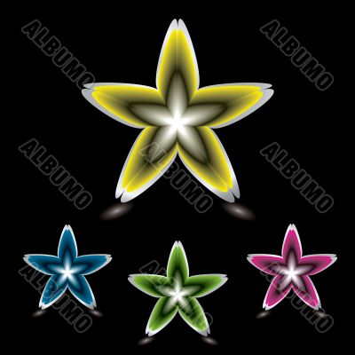 star flower icon black