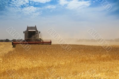 Harvest time