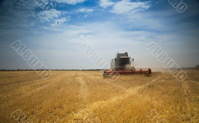 Harvest time