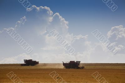 Harvest time