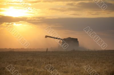 Harvest time