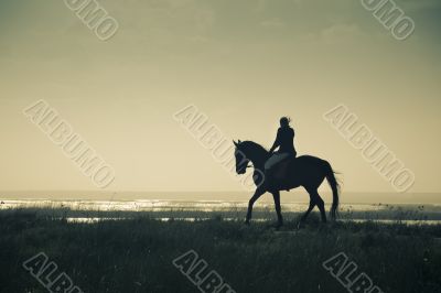 A Rider Silhouette on Horseback / retro style