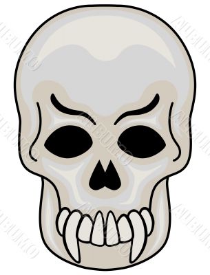 Skull vector