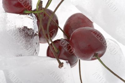 cherry in ice close up