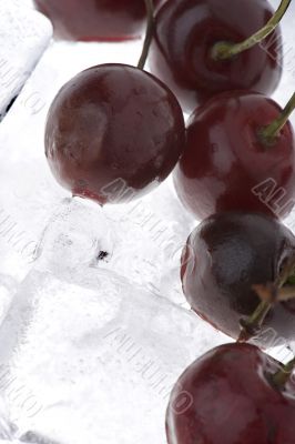 cherry in ice macro