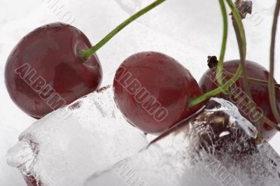 cherry in ice