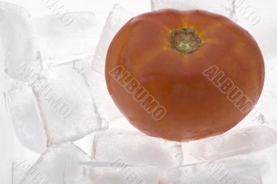 Tomato in the ice