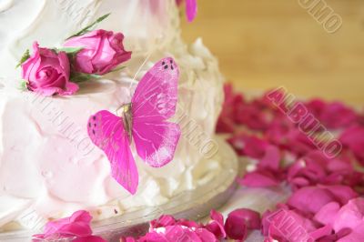 Vanilla wedding cake